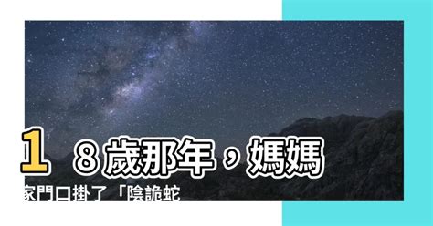 陰詭蛇胎|陰詭蛇胎小說章節列表